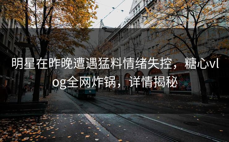明星在昨晚遭遇猛料情绪失控，糖心vlog全网炸锅，详情揭秘
